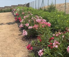 Exklusive, moderne Finca mit atemberaubendem Blick