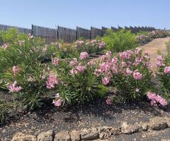 Exklusive, moderne Finca mit atemberaubendem Blick