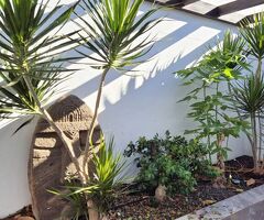 Modernes Einfamilienhaus mit großem Wohnraum und windgeschützer Terrasse Costa Calma