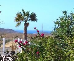 Finca mit 2 Pools und Meerblick für Garten- und Tierliebhaber in Las Hermosas